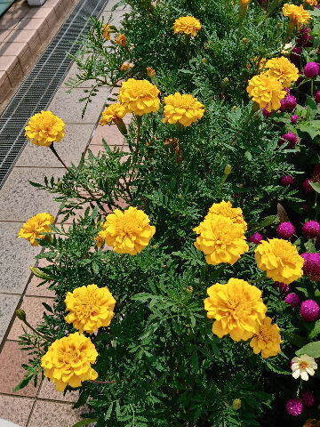 20240819_123328_HDR.jpg