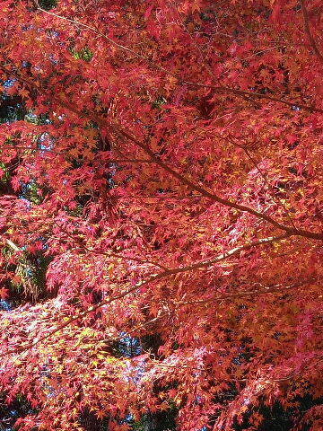20241202_111037_HDR.jpg