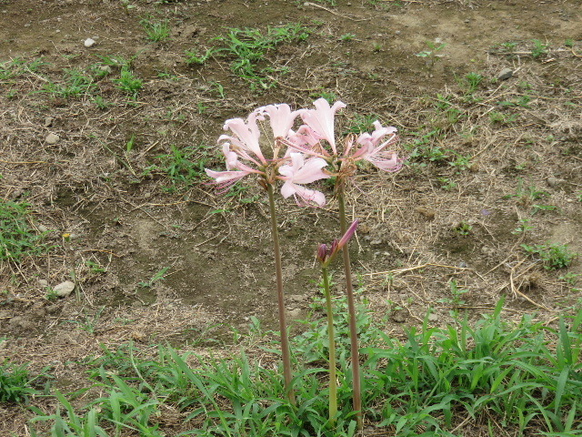 pt2023_0907(002).JPG
