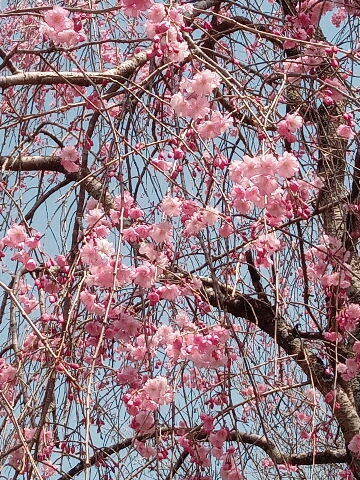 20250408_113045.jpg